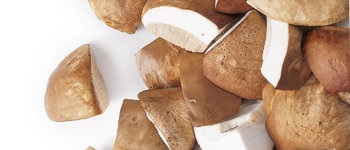 SETAS BOLETUS EDULIS TROZOS ARDO 1KGX10