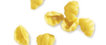 ÑOQUIS DE PASTA ARDO 4X2 KGS