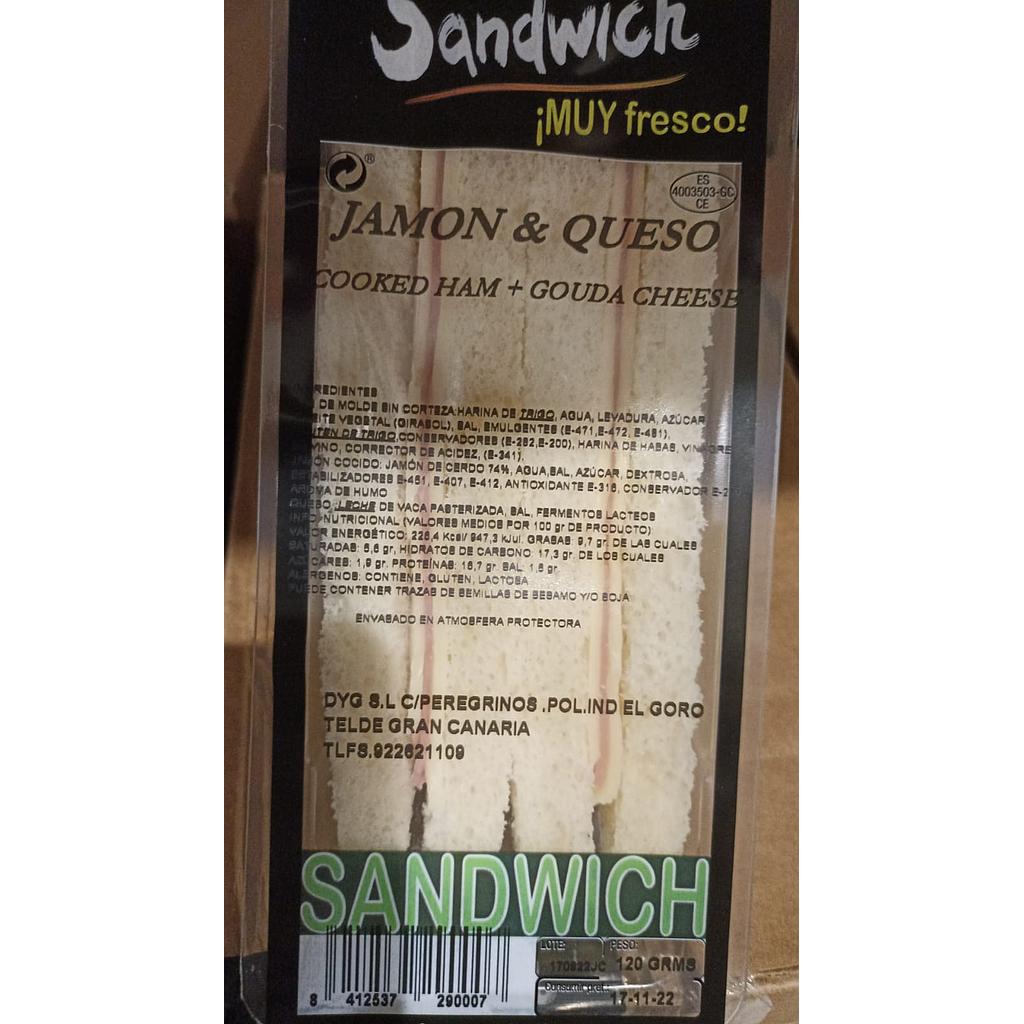 SANDWICH JAMON Y QUESO120 GRSX8