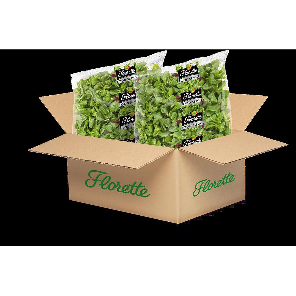 CANONIGOS BOLSA FLO 500 grs/2