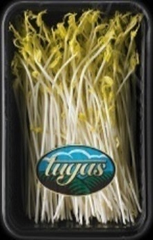 GERMINADO DE ESPARRAGO 100 GRS &quot;TUGAS&quot;X4