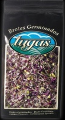 [18.02.0401] GERMINADO COL LOMBARDA 80 GRS "TUGAS"X6 Orig.España