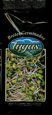 GERMINADO DE RABANO 80 GRSX6