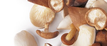 [12.01.10001074] SETAS MIXTAS ARDO 10X 600 GRS