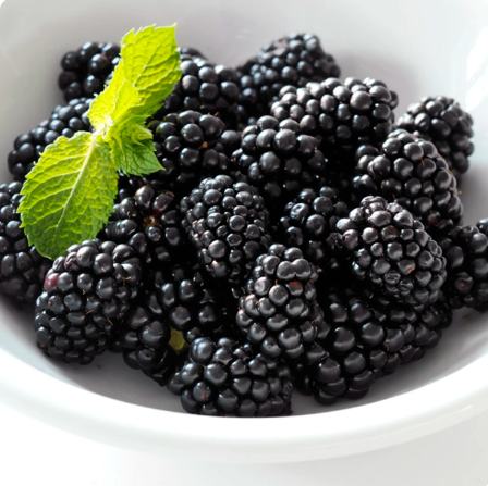 [12.01.10001442] MORAS 4 BOLSA * 2.5 KG ARDO