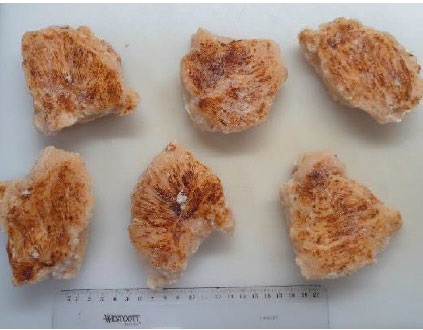 FILETE PECHUGA POLLO ASADA HALAL DE 100 GRS X3 K CONG