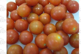 [18.97.0021] TOMATE CHERRY BANDEJA 250 GRS